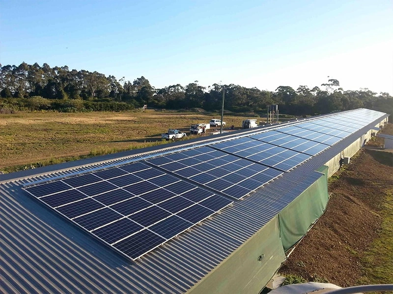 Industrial Rooftop PV Project – India Textile Factory