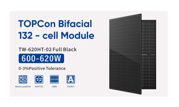 TOPCon Bifacial132 - cell Module